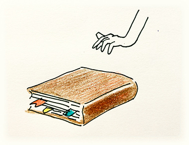 張君瞳繪圖提供張銘珠律師使用